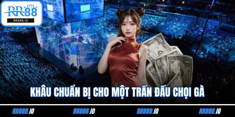 Khâu chuẩn bị cho một trận đấu chọi gà